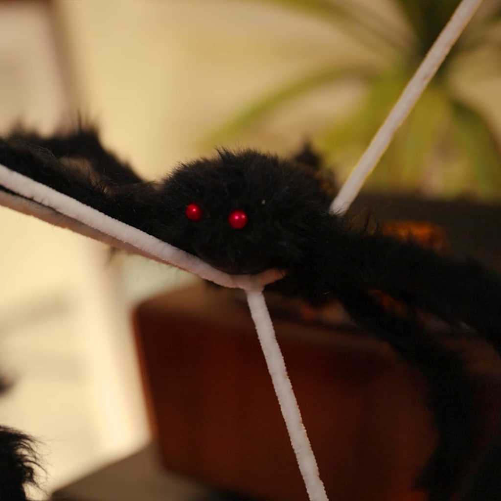 Halloween Spider Decoration Set with Webs | Elvoro