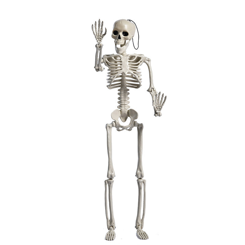 Halloween Skull Fish Skeleton Hanger 80cm - Realistic Spooky Decoration